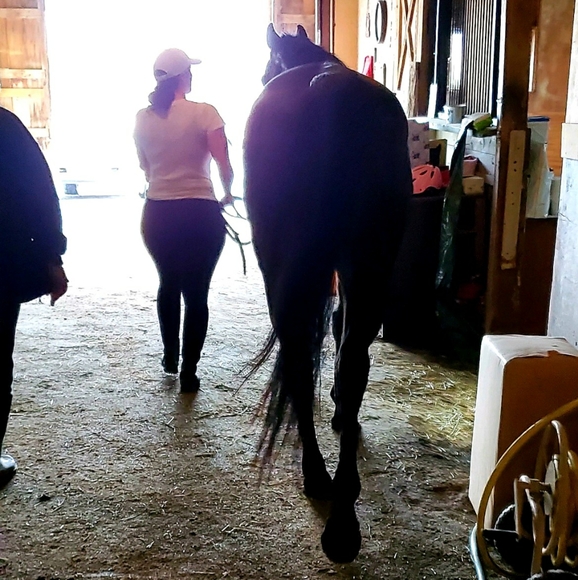 Meet your Posher, Tori - Picture 4 of 4